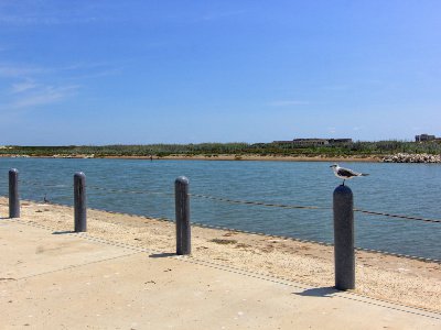 Things To Do Corpus Christi Beaches